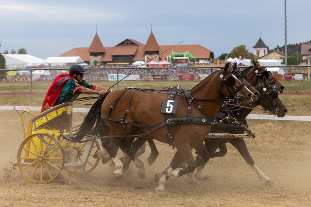 化学反应 化学反应